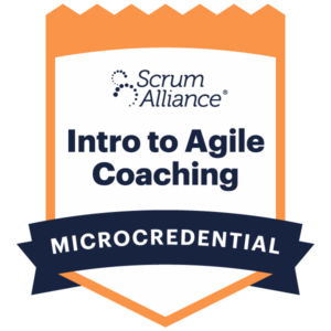 Agile Coaching Skills